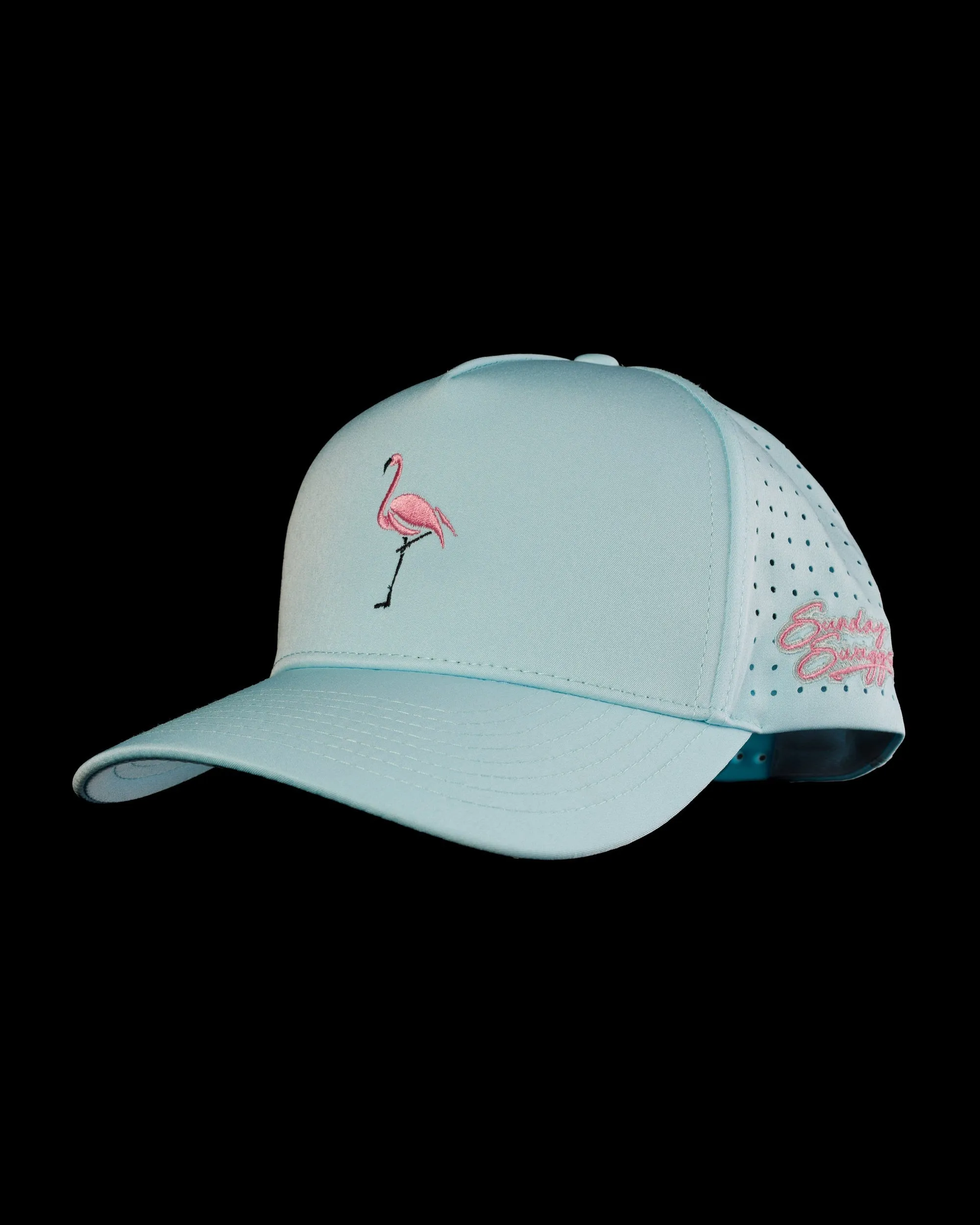 Tipsy Snapback Hat