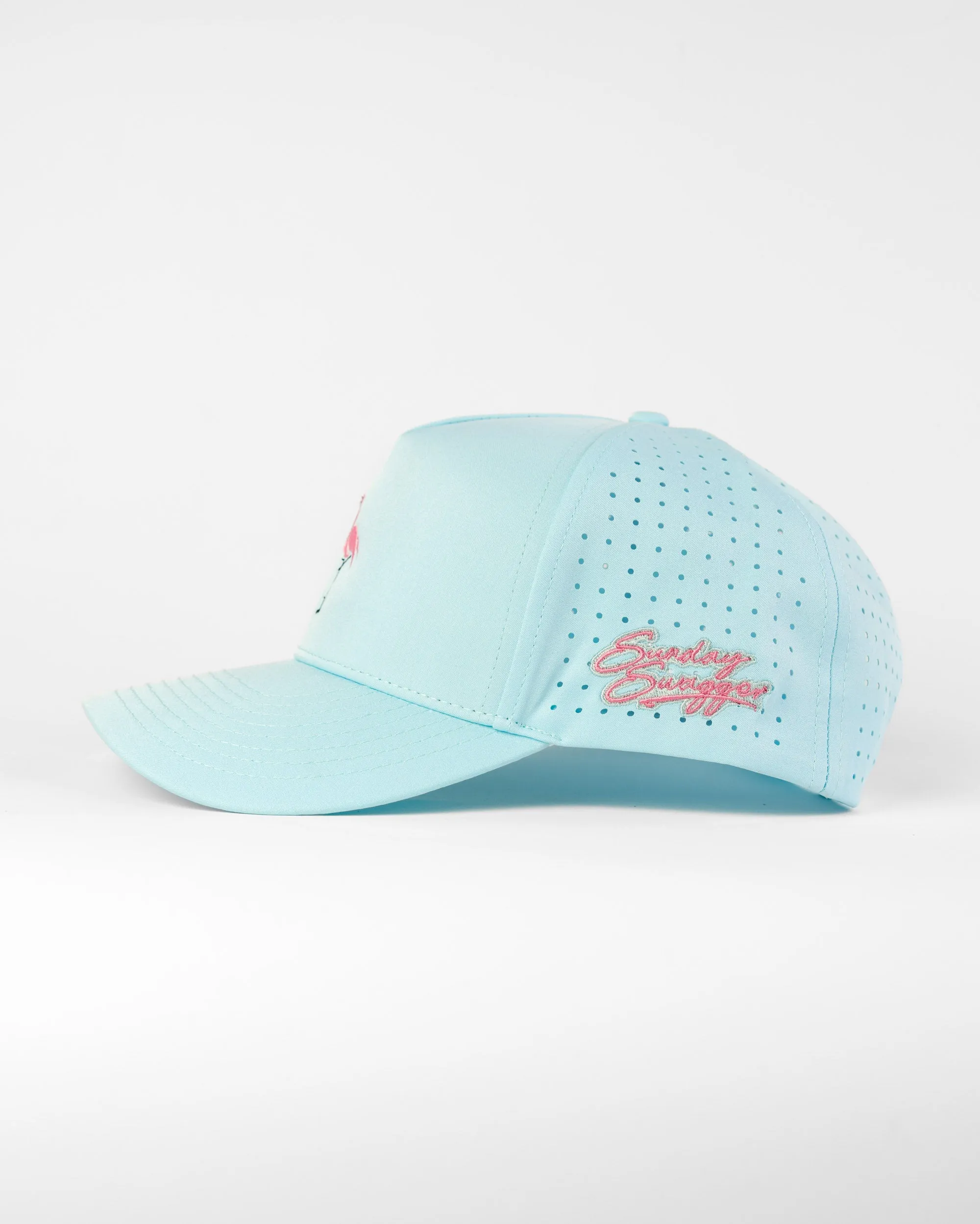 Tipsy Snapback Hat